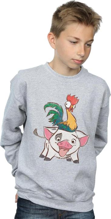 Actual product image Disney Boys Moana Hei Hei And Pua Sweatshirt (152, 158)