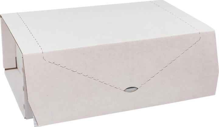 Image du produit Brieger Carton d'expédition 229 x 147 x 95 mm, 1 pièce (28,5 x 72 cm, 1 x)