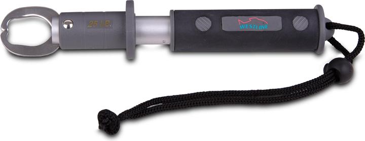 Image du produit Westline Lip Grip 25lbs