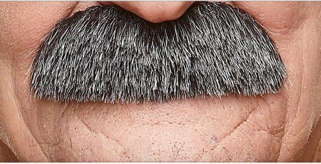 Produktbild Metamorph Walross Schnurrbart