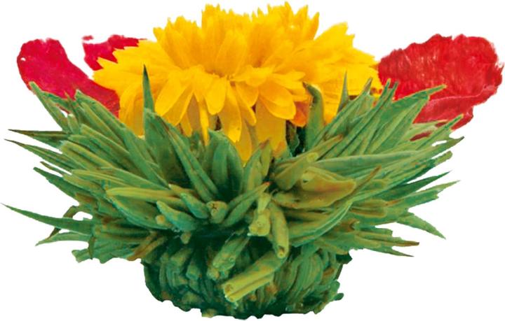 Image du produit Creano Erblühtee (0.50 l)