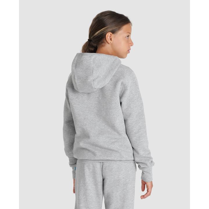 Immagine prodotto Arena Pannello felpato con cappuccio della squadra Jr (116)