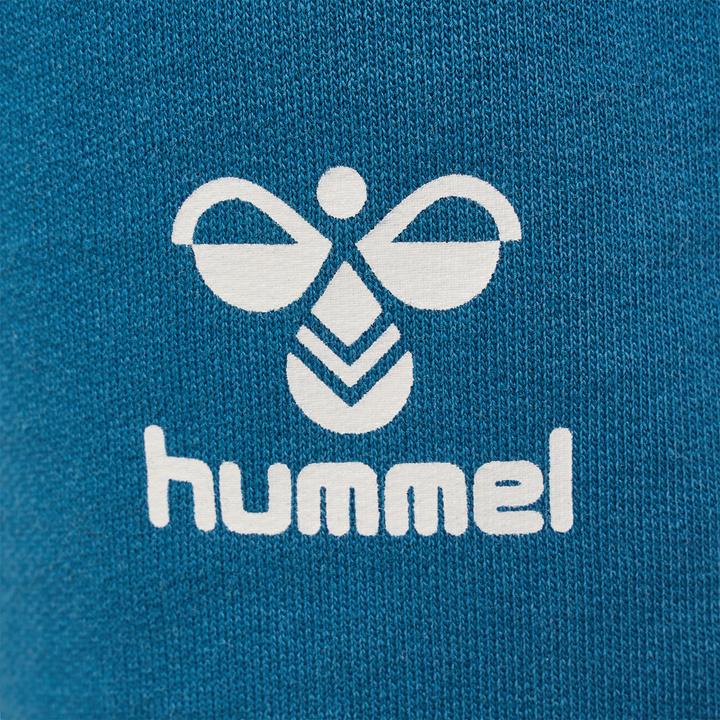 Image du produit hummel Hmlflow Shorts (134)