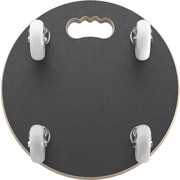 Actual product image Wagner System MaxiGRIP (250 kg)