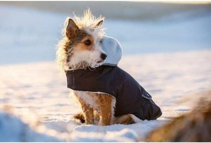 Produktbild Kerbl Teddy (48, Hundemantel)