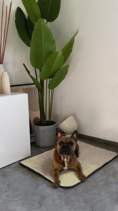 Actual product image Aspero Dog blanket Lund (Dog)