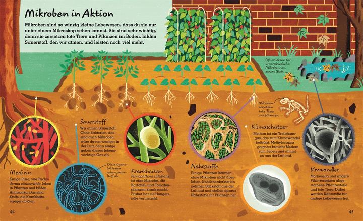 Produktbild Leben unter der Erde (Deutsch, Jackie Stroud, Marc Redmile-Gordon, 2020)