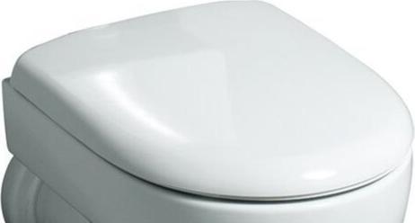 Immagine prodotto Geberit Sedile WC Renova New white 573010
