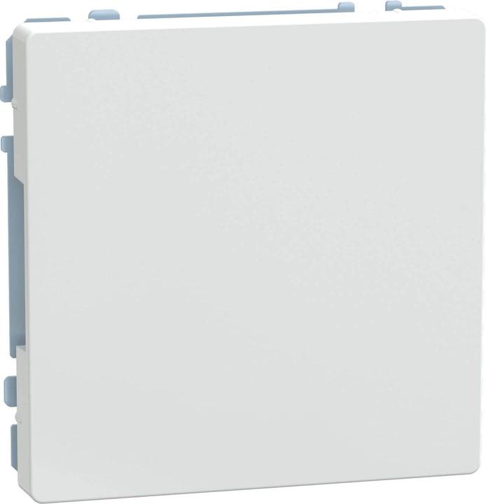 Actual product image Merten Blind cover