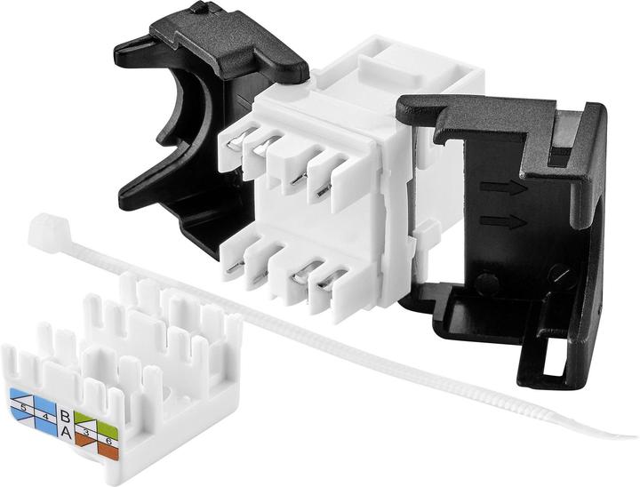Image du produit Renkforce Module Keystone CAT6A sans outil (Accessoires réseau)