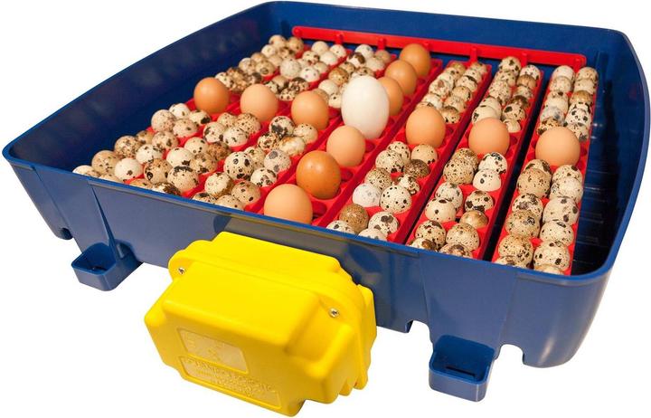 Produktbild APS Brutapparat 49 Eier Wasserspender vollautomatisch Brutmaschine Brutautomat