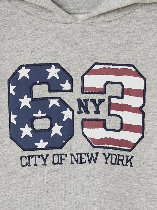 Immagine prodotto Vertbaudet Jungen Kapuzensweatshirt mit Print NY City, Recycling-Polyester (92)