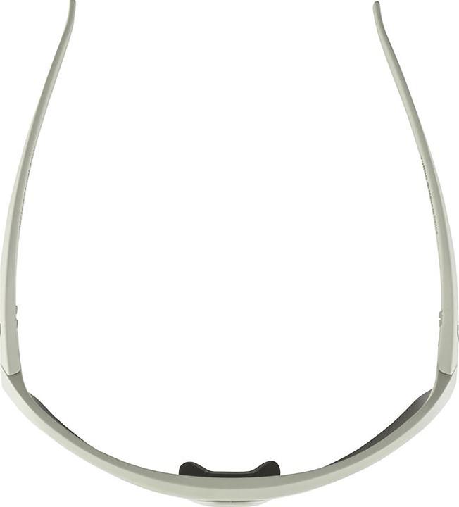 Actual product image Alpina Sports Turbo HR (Cool grey matt, Silver)