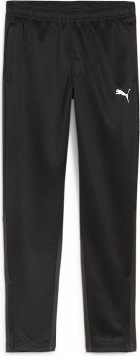Actual product image Puma teamGOAL Training Pant Jr (164)