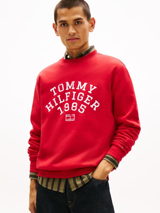 Actual product image Tommy Hilfiger Hilfiger Arch Sweatshirt (M)