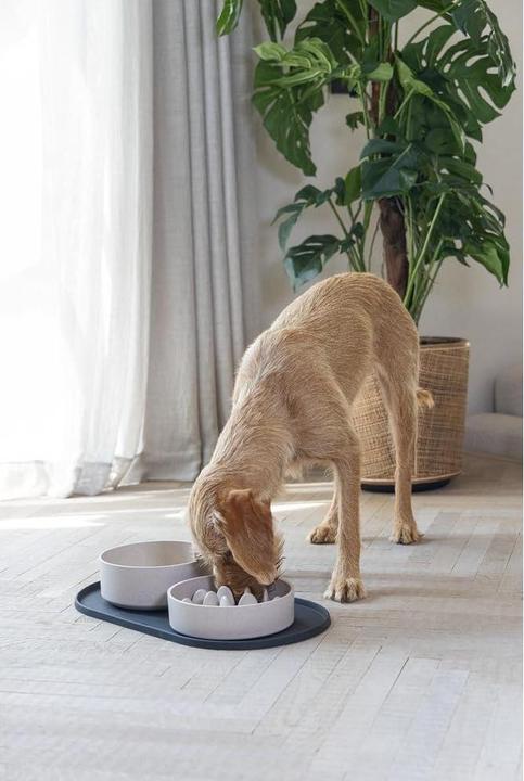 Image du produit Designed by Lotte Set de table Oona