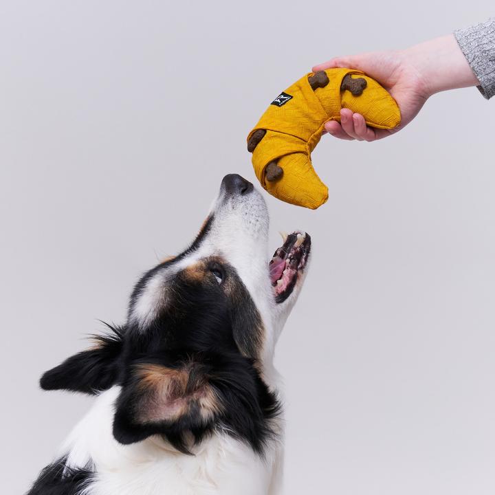 Produktbild Redoggo Schnüffelspielzeug mit Leckerli Taschen (Snackbeutel Hund)