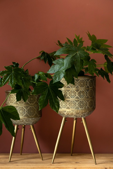 Actual product image Dutchbone Botanique (25.50 cm)