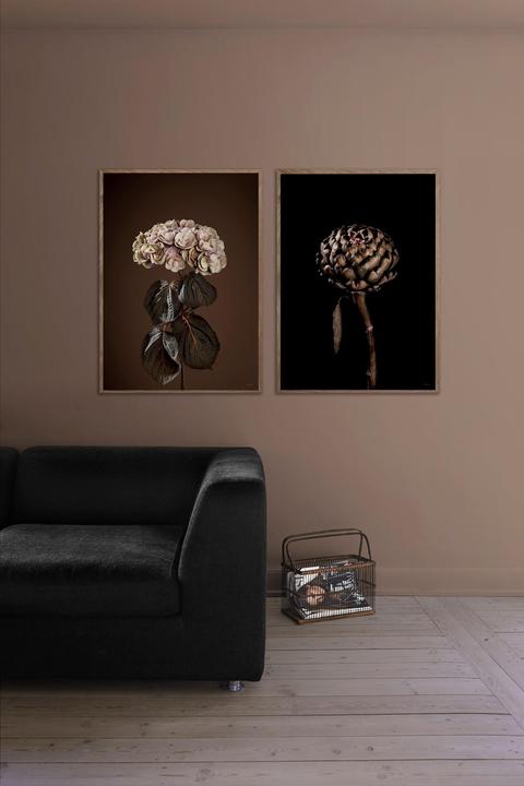Produktbild ChiCura Majestic (29.5 x 42 cm)