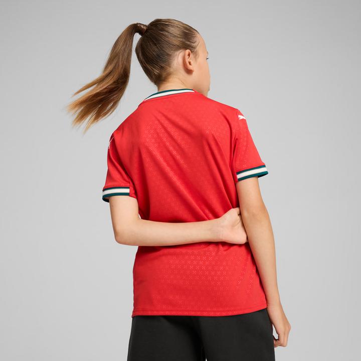 Actual product image Puma FPF Home Jersey Replica Jr (128)