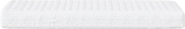 Actual product image vidaXL Schaumstoffmatratze 100 x 210 cm Härtegrad H2 H3 (100 x 210 cm, Foam core)