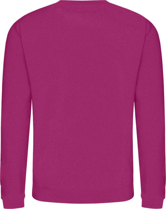 Actual product image Awdis Just Hoods sweatshirt with round neckline (M)