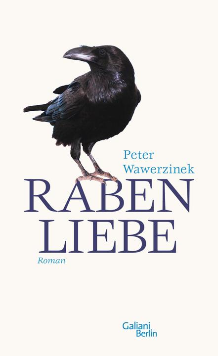 Produktbild Rabenliebe (Deutsch, Peter Wawerzinek, 2010)