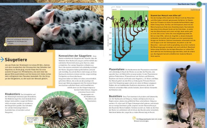 Produktbild Tiere der Welt (Deutsch, 2023)