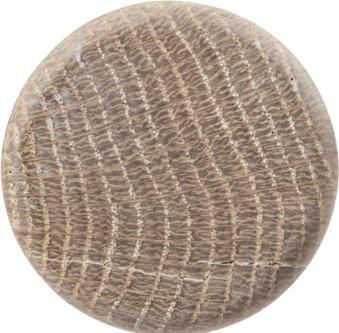 Produktbild OK-Line Holz-Handläufe Ø 42 mm