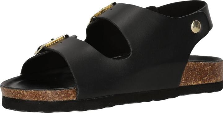 Actual product image Cruz Calyx (36)