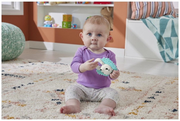 Produktbild Fisher-Price HKD72
