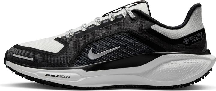 Produktbild Nike Pegasus 41 Goretex (41)
