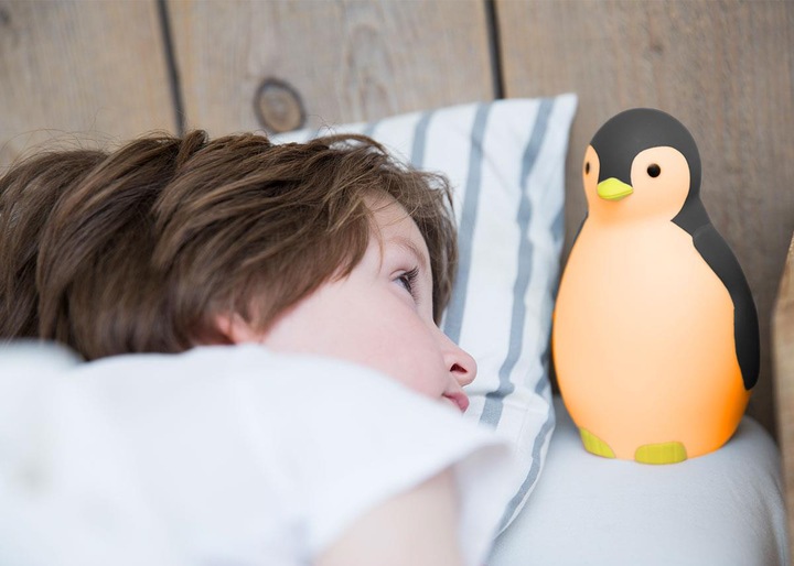 Image du produit ZaZu Pam