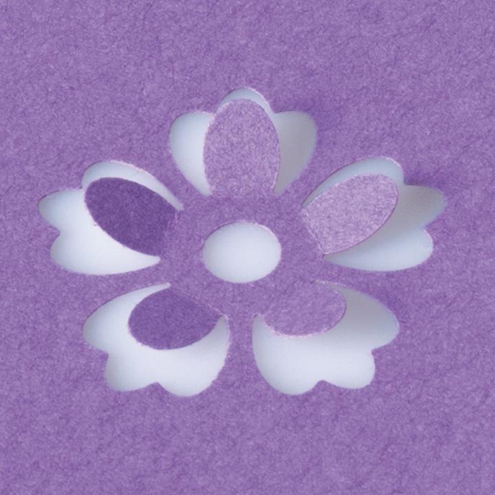 Productafbeelding Heyda Motiefpons voor karton tot 220g/m² Bloesem groot Pop Up ca. 25x25mm