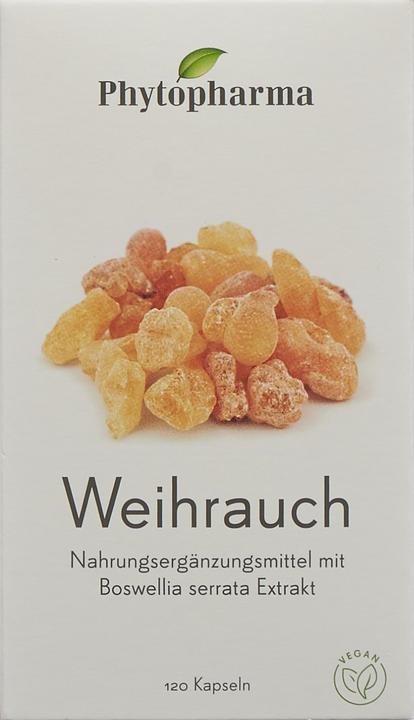 Actual product image Phytopharma Incense (120 Piece, Capsules, 60.50 g)