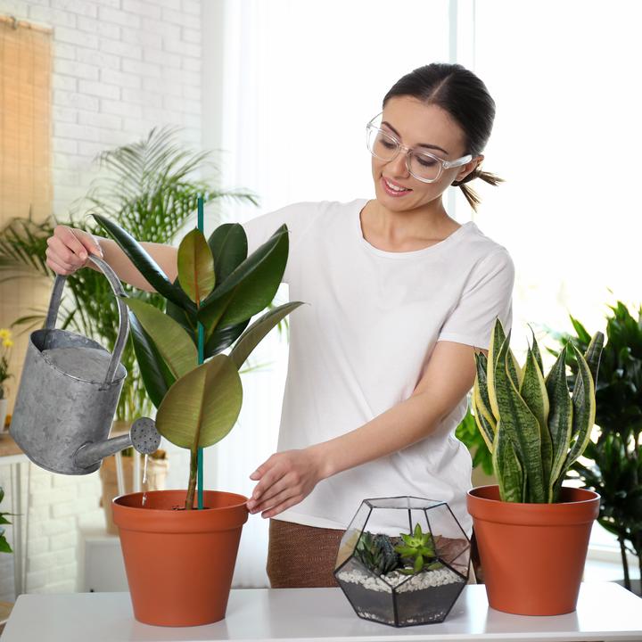 Produktbild Relaxdays 50x Pflanzenstab (60 cm, 60 cm)