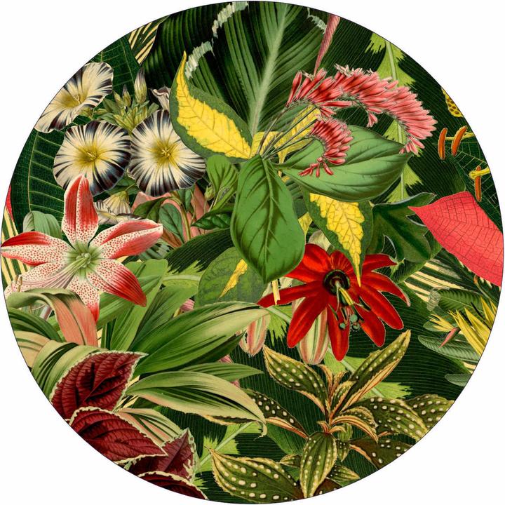 Produktbild Moooi Herbarium Of Extinct Plants Teppich (Rund)