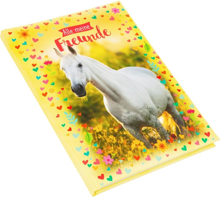 Image du produit Goldbuch Freundebuch DIN A5 Chiara (A5, À rayures, Couverture rigide)