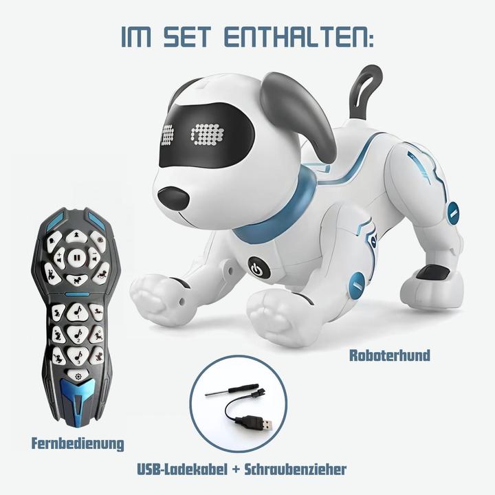 Immagine prodotto Hermex Cane robot