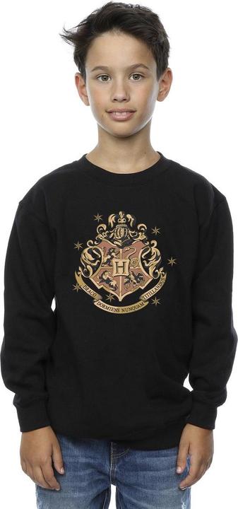 Image du produit - Sweat GOLD HOGWART CREST - Garçon (116)