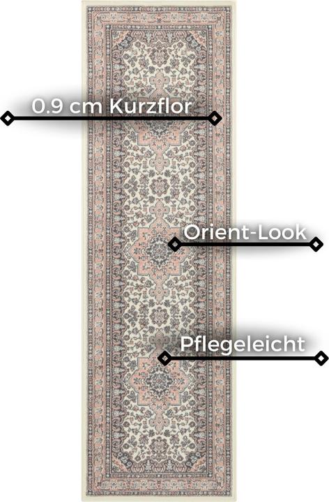 Immagine prodotto Hanse Home Parun Tabriz (250 x 80 cm)