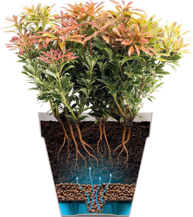 Image du produit Elho Loft urbain (33.50 cm)