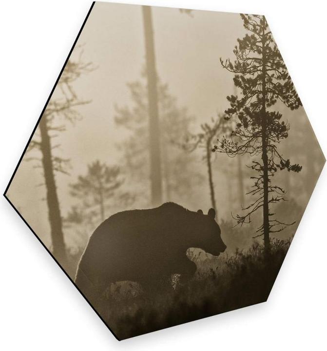 Image du produit Trenddeko Brouillard le matin (35 x 30 cm)
