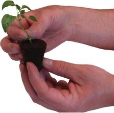 Image du produit Root!t ROOTiT Rooting Gel 150ml