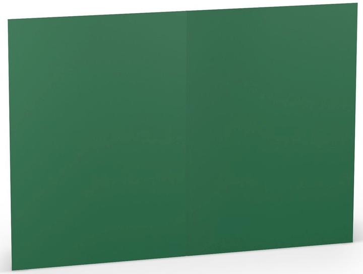 Actual product image Rössler Coloretti Cards B6 Forest in a pack of 5 unfolded for self design (5 pcs.)