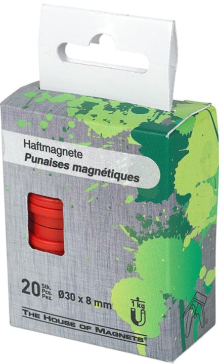 Image du produit House of Magnets Aimants (4x)