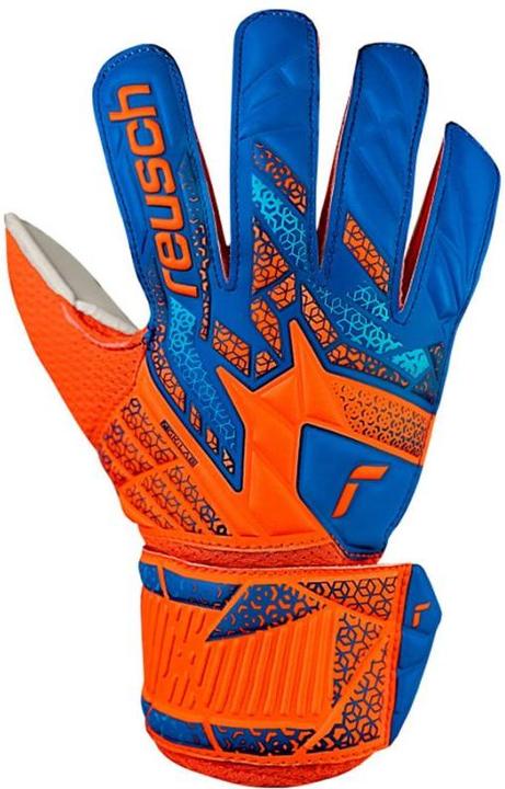 Produktbild Reusch Attrakt Solid Kinder Torwarthandschuhe (3)