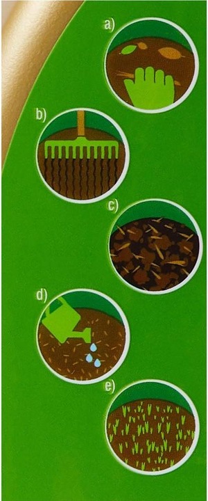 Produktbild Maag Patch Magic (Pflanzensamen)