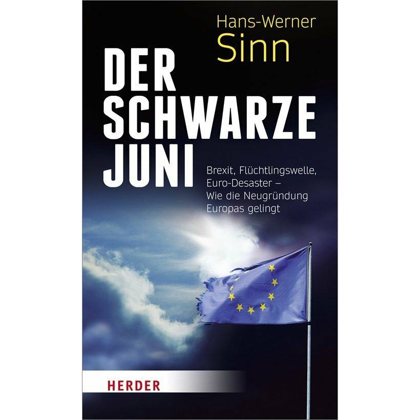 Der Schwarze Juni, Fachbücher von Hans-Werner Sinn