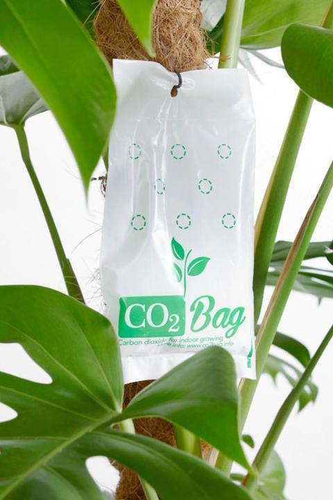 Actual product image CO2 Bag The Bag Grower